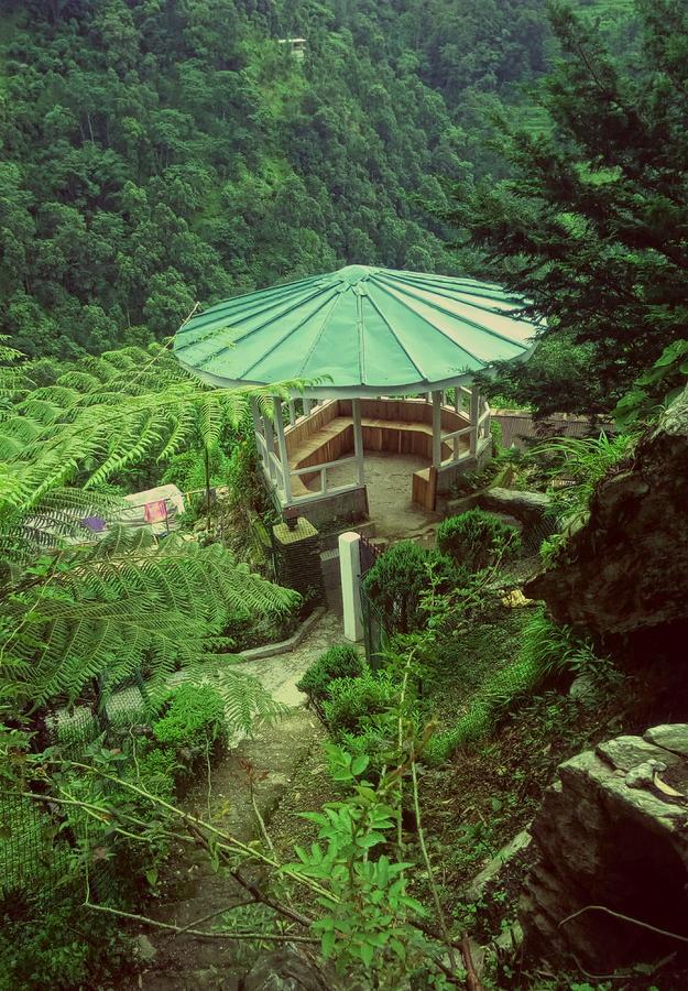 Enchanted Forest Farmstay Гангток Екстериор снимка