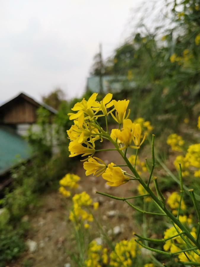 Enchanted Forest Farmstay Гангток Екстериор снимка