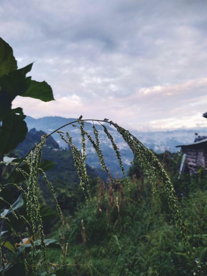 Enchanted Forest Farmstay Гангток Екстериор снимка